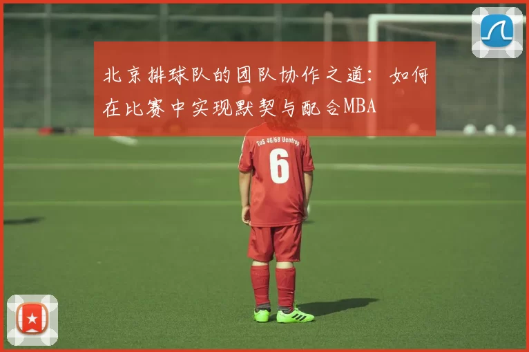 北京排球队的团队协作之道：如何在比赛中实现默契与配合MBA