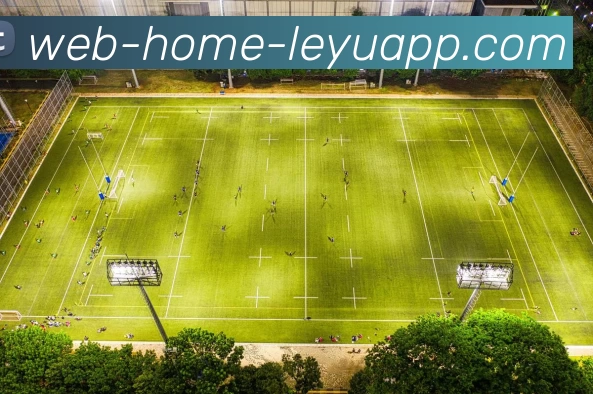 数据防护可视化